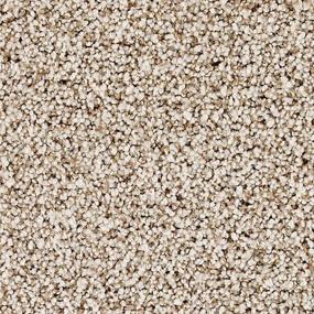 Textured Saxony Contessa Beige/Tan Carpet