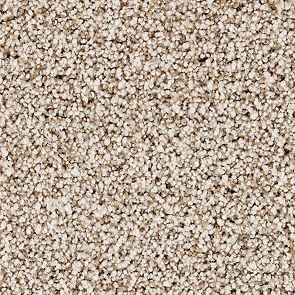 Textured Saxony Contessa Beige/Tan Carpet