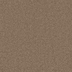 Textured Saxony Brownie Brown Carpet
