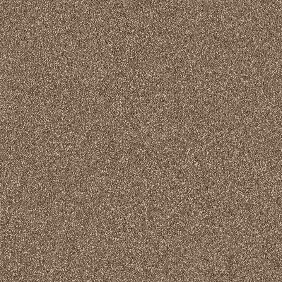 Texture Brownie Brown Carpet