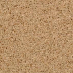 Casual Texture Tempura Brown Carpet