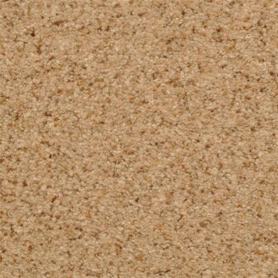 Casual Texture Tempura Brown Carpet