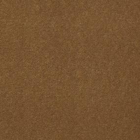 Cut Pile MAGIC LAMP Brown Carpet