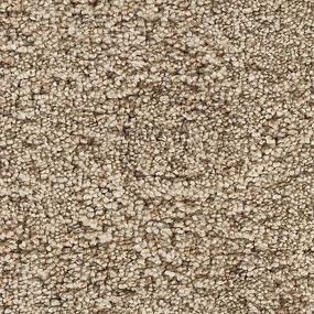 Textured Saxony Magnolia Brown Carpet