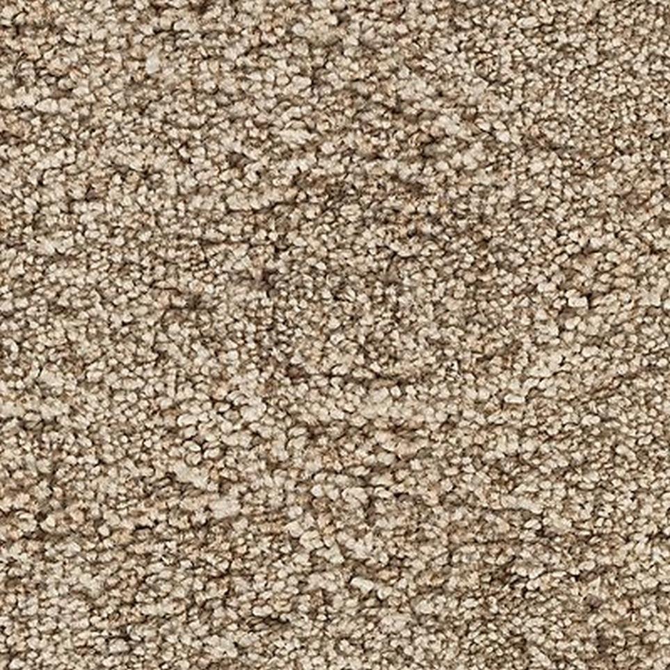 Textured Saxony Magnolia Brown Carpet