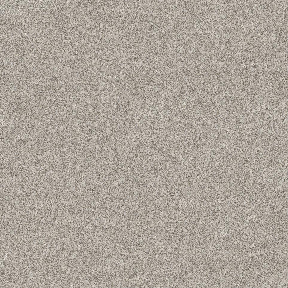 Texture Nougat Gray Carpet