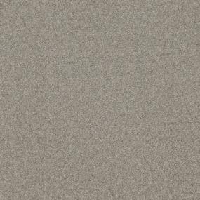 Textured Saxony Royal Beige/Tan Carpet