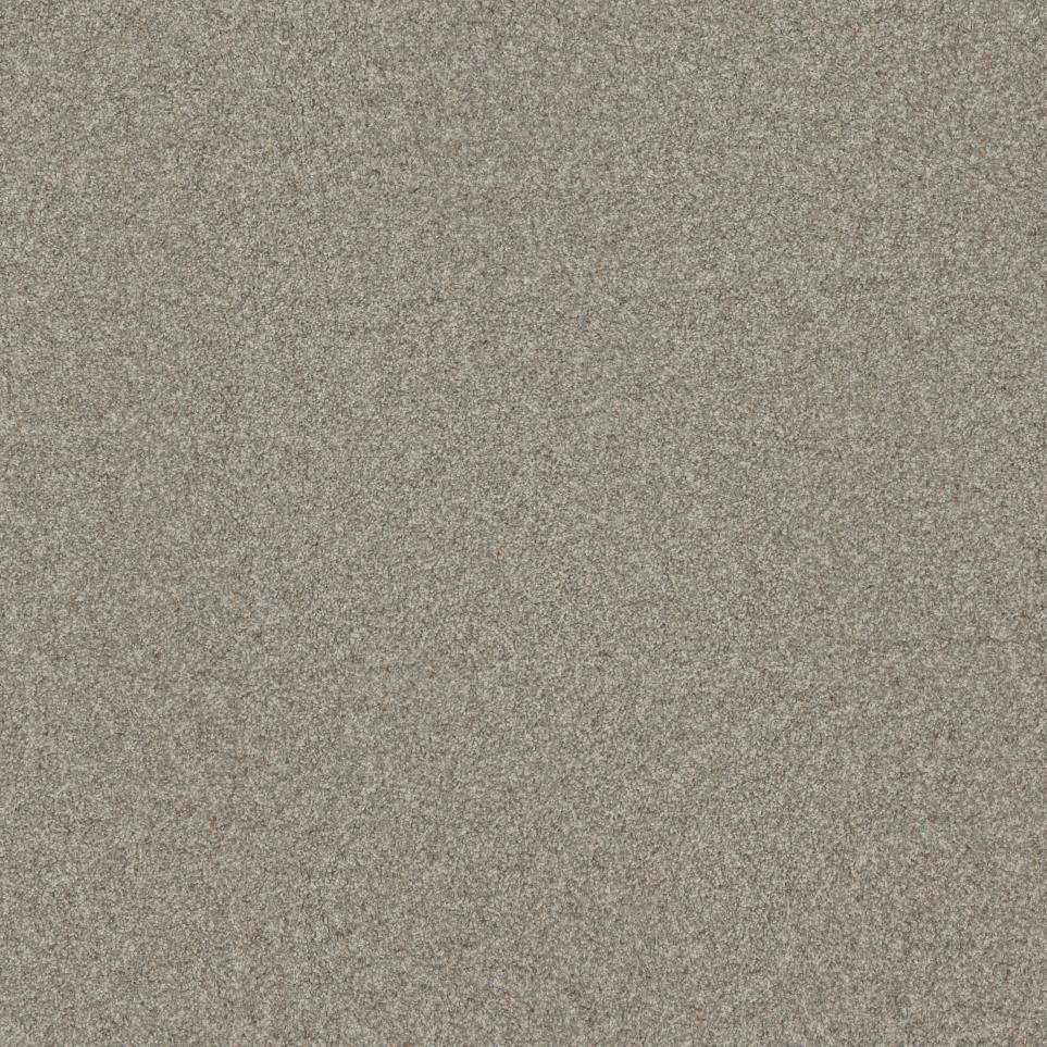 Texture Royal Beige/Tan Carpet