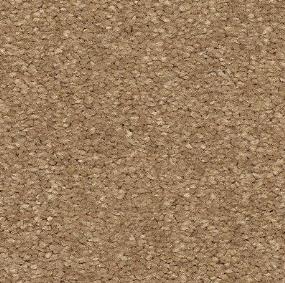 Textured Saxony Rare Beige/Tan Carpet