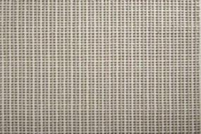 Pattern Sawgrass Beige/Tan Carpet