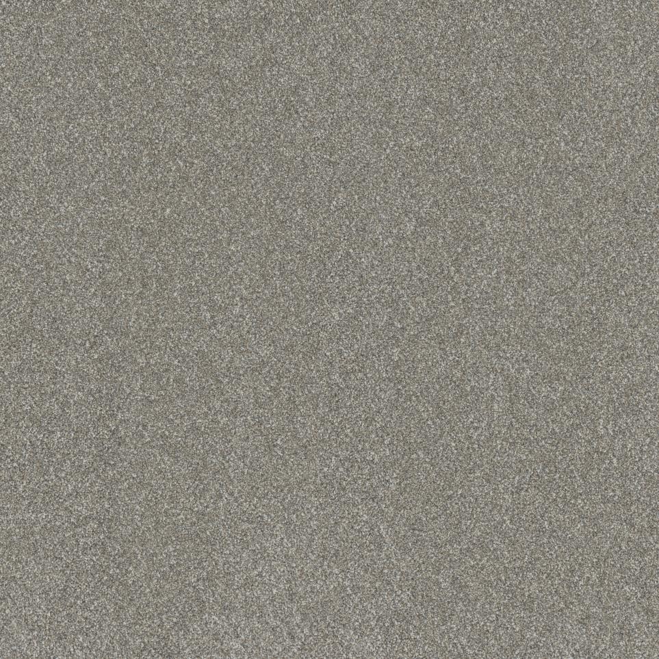 Textured Saxony Park Suite Gray Carpet