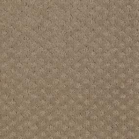 Pattern Embark Brown Carpet