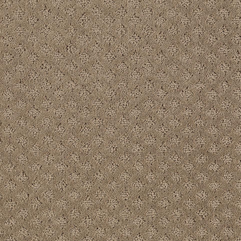 Pattern Embark Brown Carpet