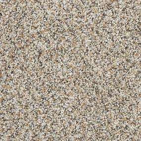 Texture Crystalized Beige/Tan Carpet