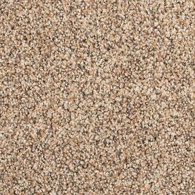 Textured Saxony ASHEN TAUPE Beige/Tan Carpet