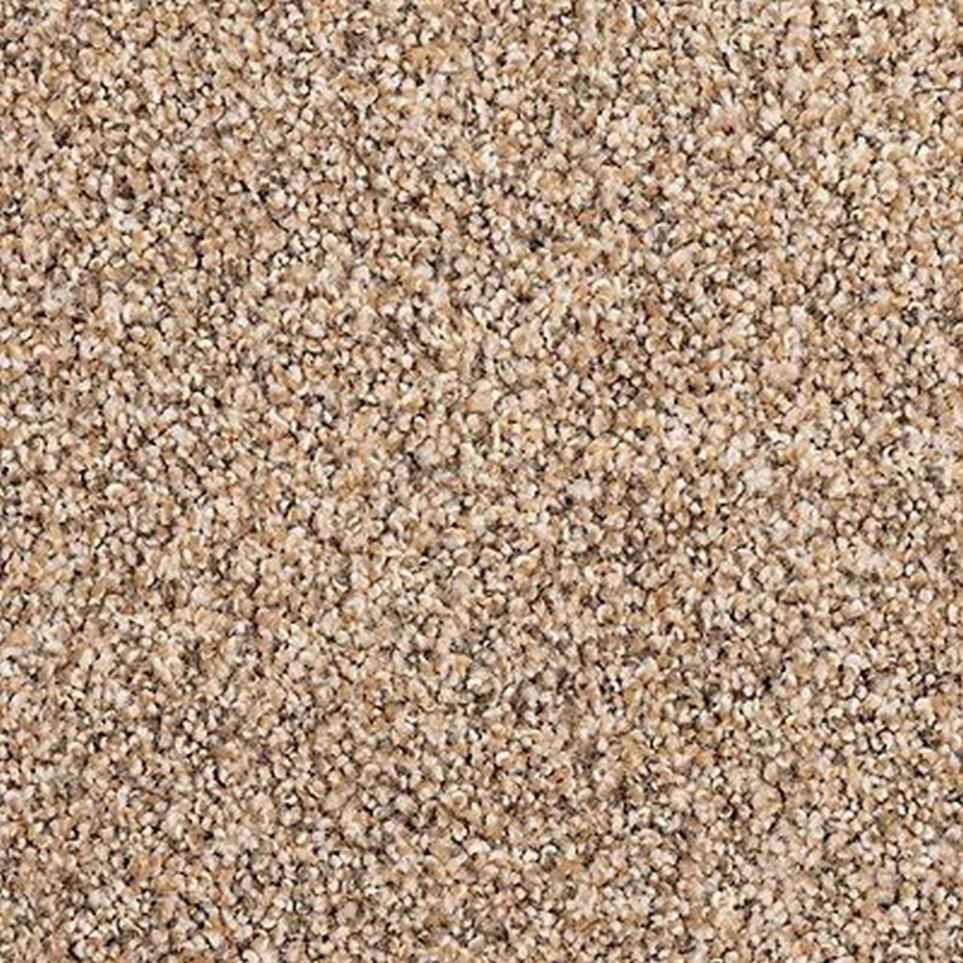 Textured Saxony ASHEN TAUPE Beige/Tan Carpet