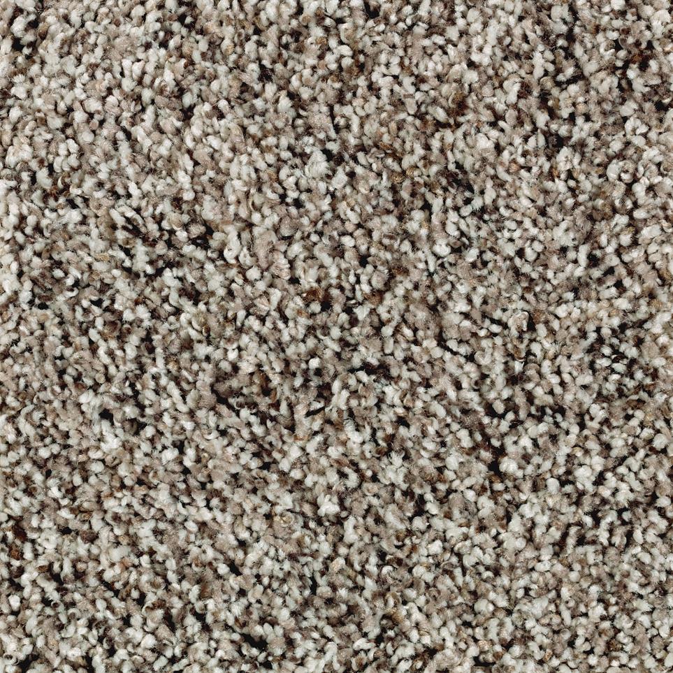 Texture Haze Beige/Tan Carpet
