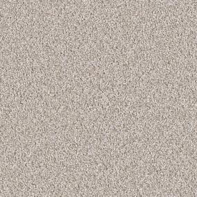 Plush Saxony Traditional Gray Carpet