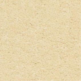 Casual Texture Rosa Pastel Beige/Tan Carpet