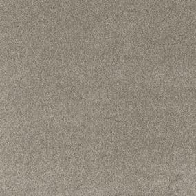 Textured Saxony Inviting Beige/Tan Carpet