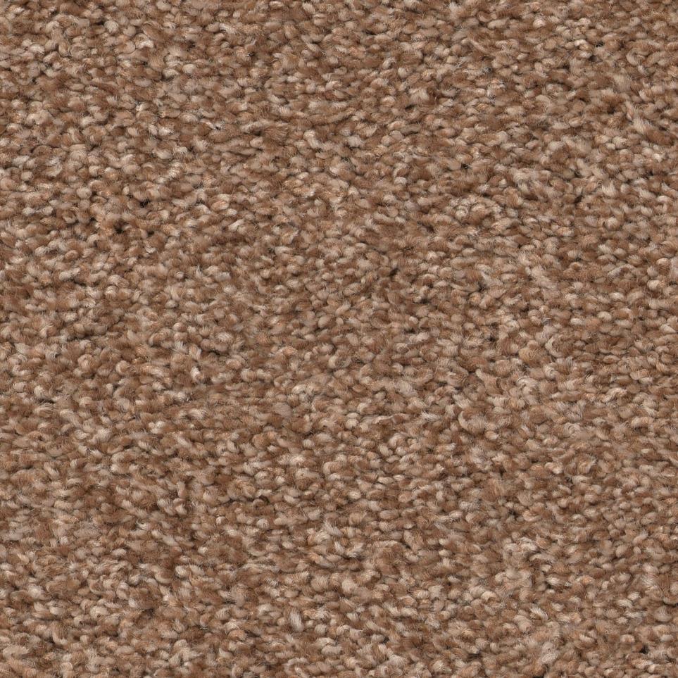 Frieze Terra Cotta Brown Carpet