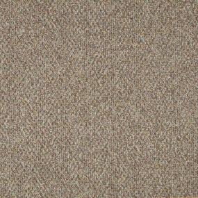 Berber Teton Ridge Beige/Tan Carpet