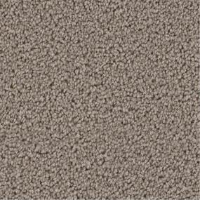 Textured Saxony Inspiring Brown Carpet