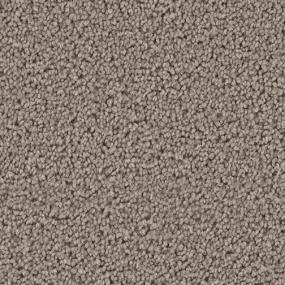 Texture Inspiring Brown Carpet