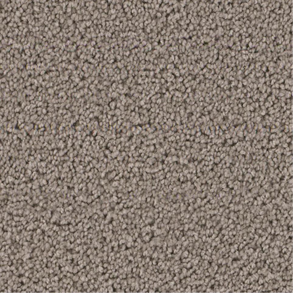 Textured Saxony Inspiring Brown Carpet