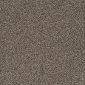 Texture Faithful Beige/Tan Carpet