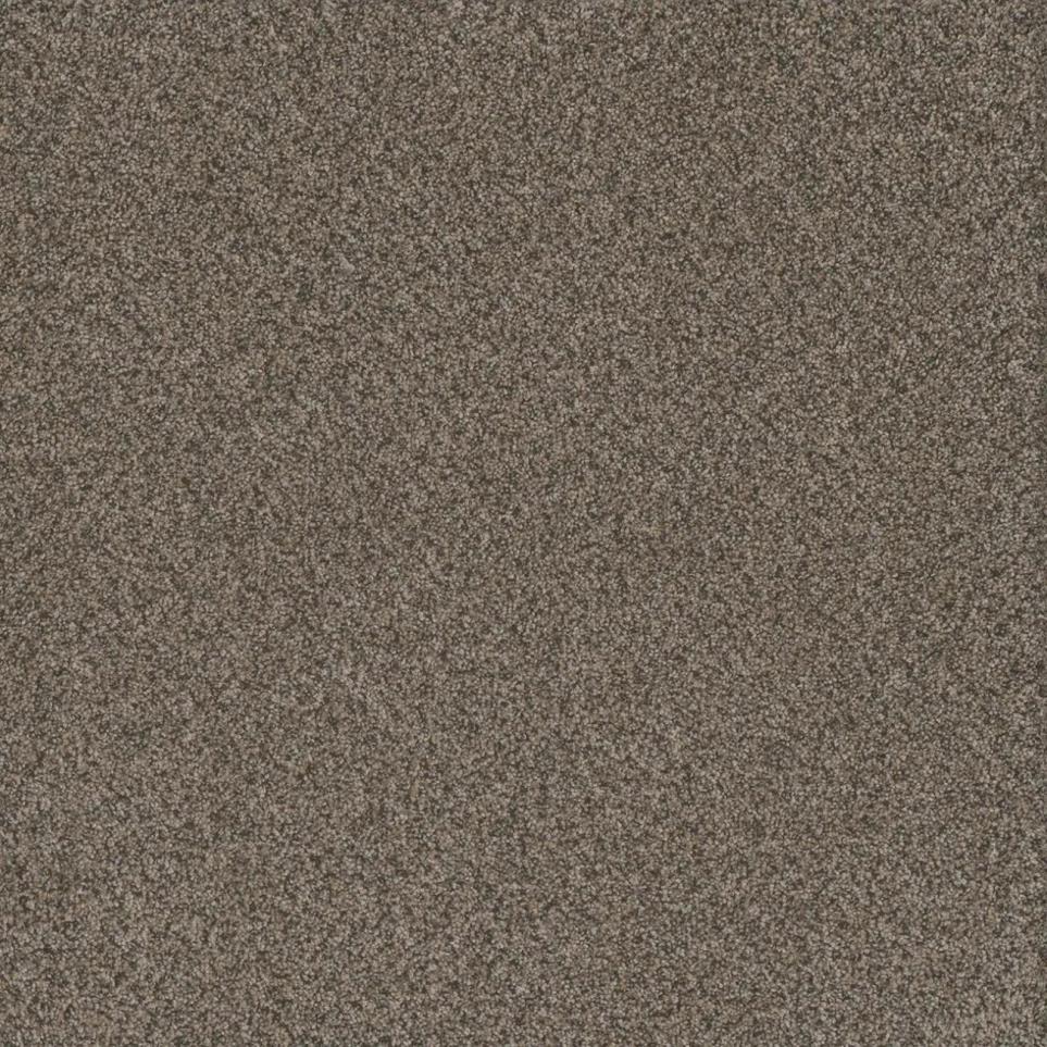 Texture Faithful Brown Carpet