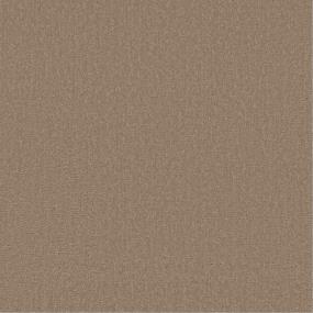 Pattern Fawnwood Beige/Tan Carpet