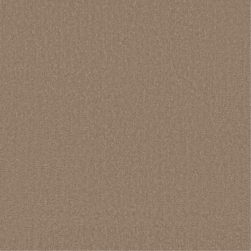 Pattern Fawnwood Beige/Tan Carpet