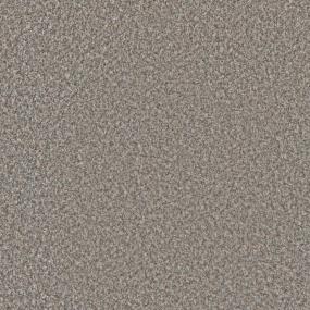 Textured Saxony Enchantment Brown Carpet