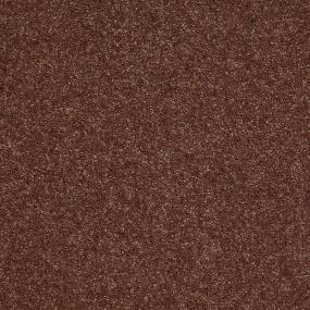 Textured Saxony Fudge Brown Carpet