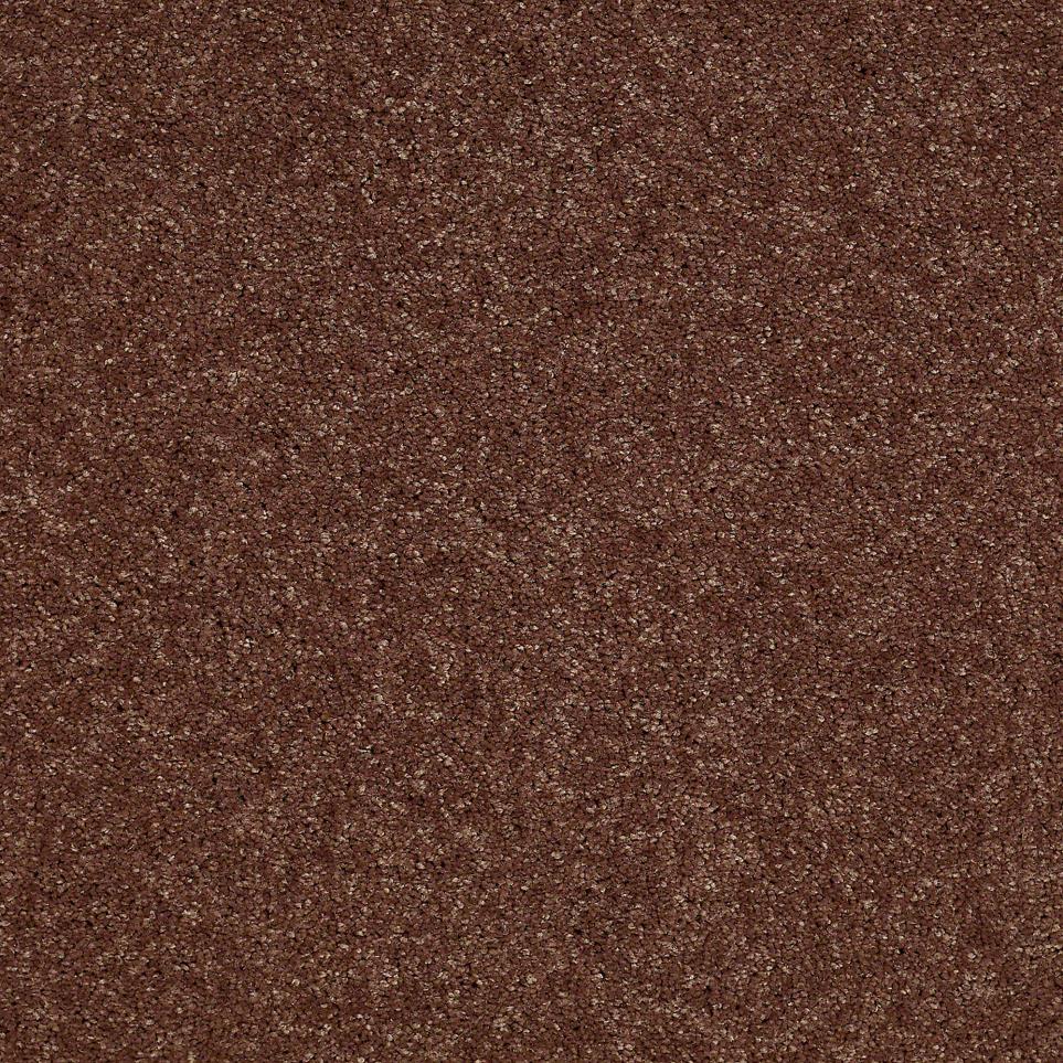 Textured Saxony Fudge Brown Carpet