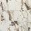 Calacatta Aries Matte