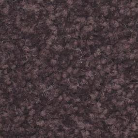 Textured Saxony Merlot Purple Carpet