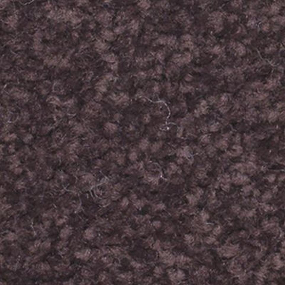 Textured Saxony Merlot Purple Carpet