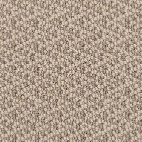 Loop New Coin Beige/Tan Carpet