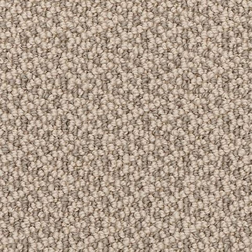 Loop New Coin Beige/Tan Carpet