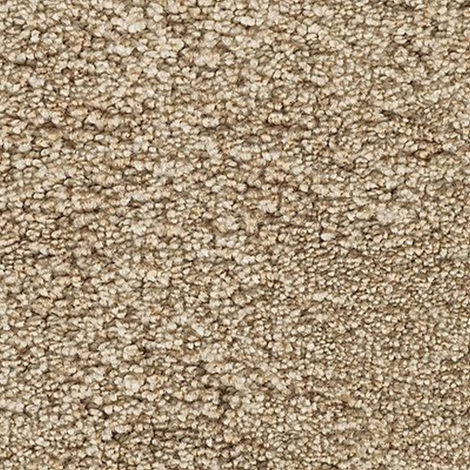 Textured Saxony Swiss Almond Beige/Tan Carpet