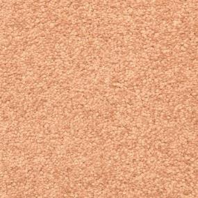 Casual Texture Copper  Brown Carpet