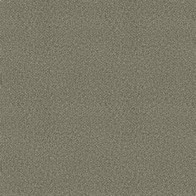 Textured Saxony Caravan Brown Carpet