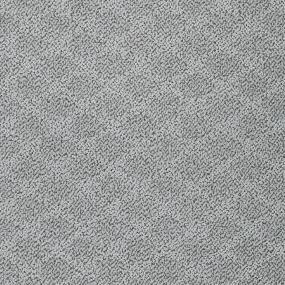 Pattern Oasis Gray Carpet
