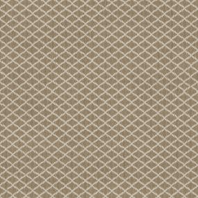 Loop Warm Beach Beige/Tan Carpet