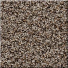 Texture Truffle Brown Carpet