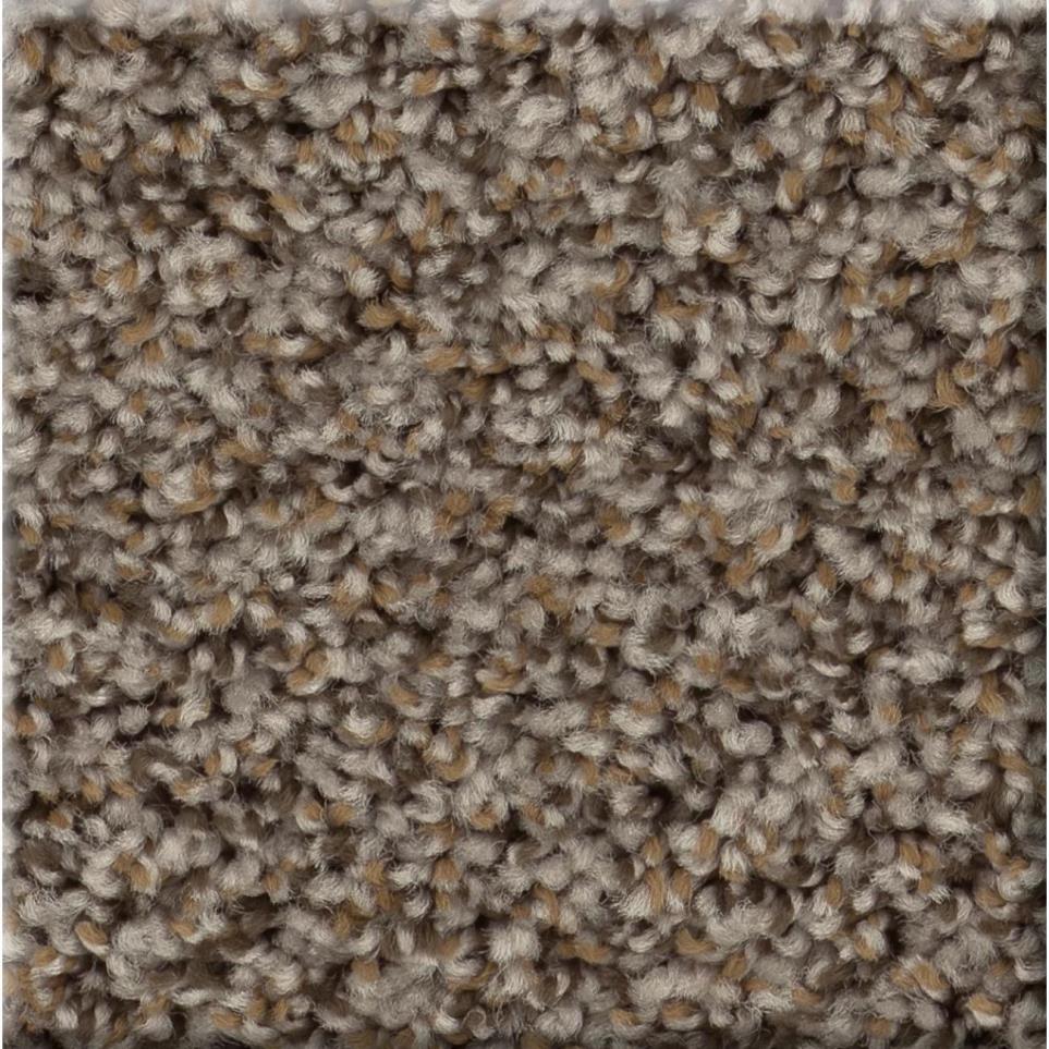 Texture Truffle Brown Carpet