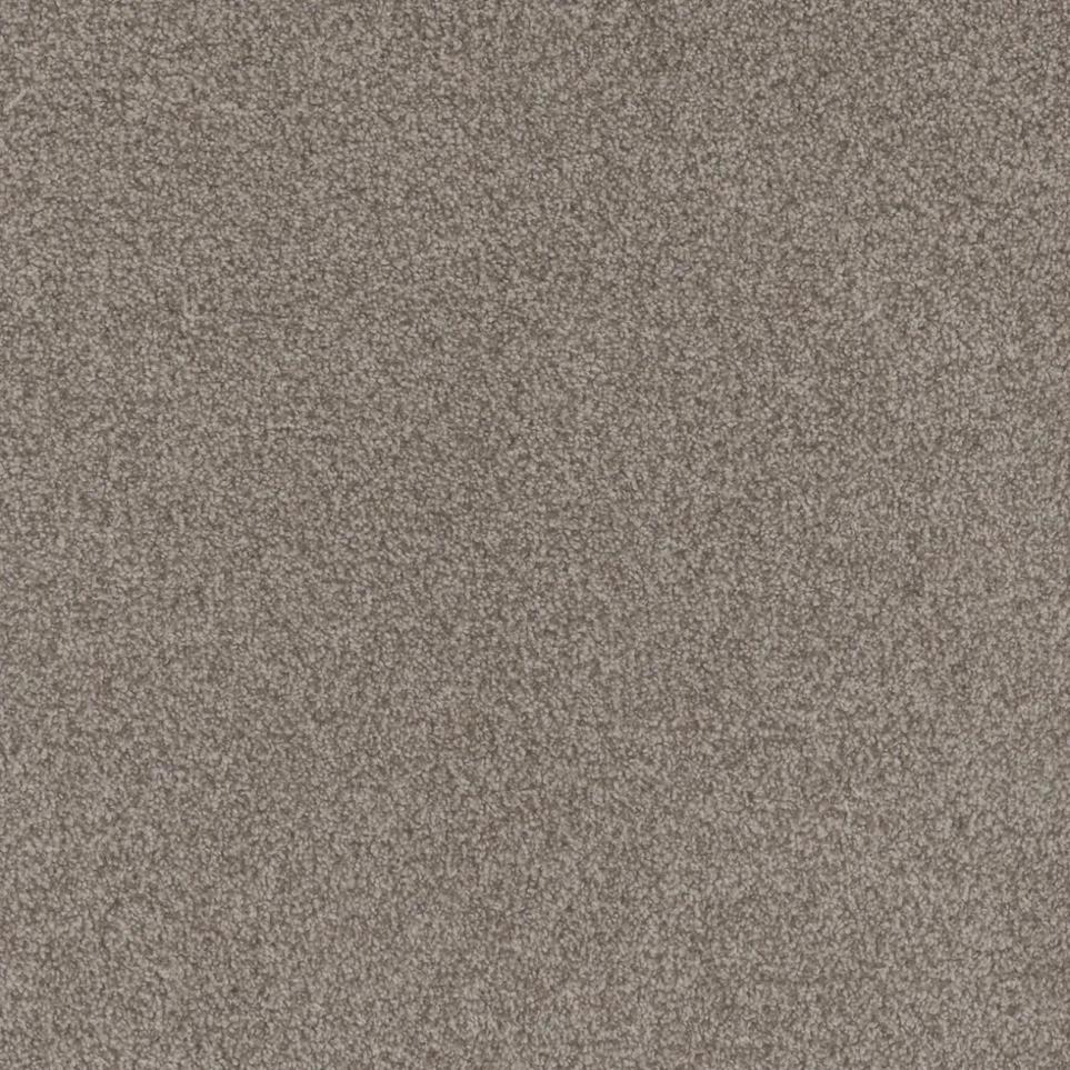 Cut Pile Best Of Times Brown Carpet