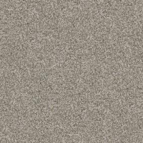 Textured Saxony Chow Chow Gray Carpet
